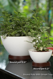ROUND POT 6.3" CAMEL