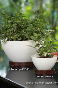 ROUND POT 6.3" CAMEL