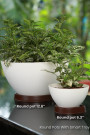 ROUND POT 12.6" COFFEE