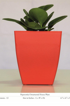 SQUARE POT - CHATURA 4.7"