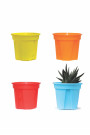 MINT POT 005