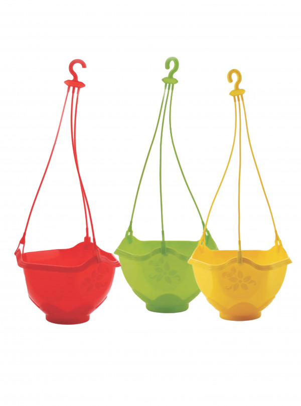 MONEY PLANT HANGING POT