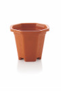 TULSI POT MEDIUM