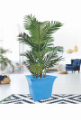 VASTU POT MEDIUM