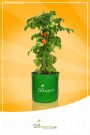 HDPE GROW BAG (Any Size - Total 5 pcs) - Choose Size and Qty, Add to Cart (Listed price is for single piece only)