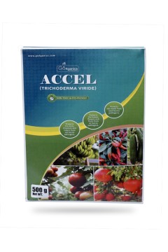 ACCEL