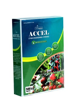 ACCEL