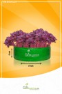 HDPE GROW BAG (Any Size - Total 5 pcs) - Choose Size and Qty, Add to Cart (Listed price is for single piece only)
