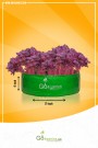 HDPE GROW BAG (Any Size - Total 10 pcs) - Choose Size and Qty, Add to Cart (Listed price is for single piece only)