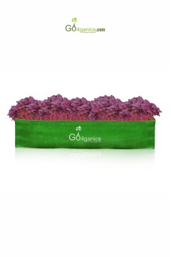 HDPE GROW BAG (Any Size - Total 5 pcs) RECTANGULAR - Choose Size and Qty, Add to Cart (Listed price is for single piece only)