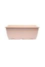 Ivory +Rs.175.00