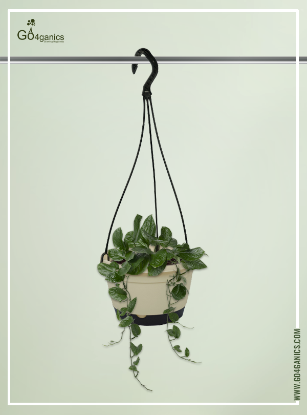 TUKA HANGING POT - 1 TIER