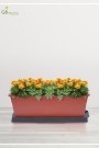 SMART TRAY FOR RECTANGULAR POT 