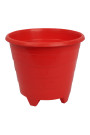 Red +Rs.30.00