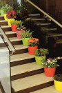 RONDA 23 POT PASTEL PINK
