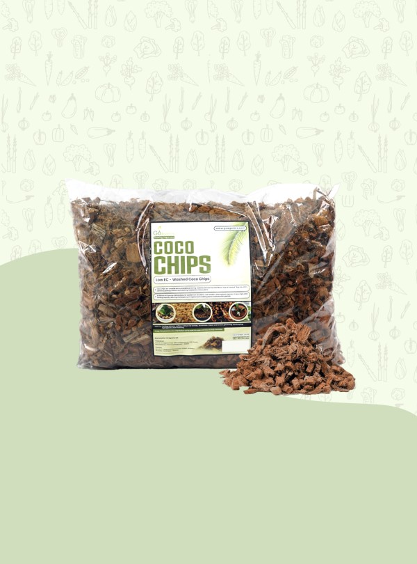 COCO CHIPS