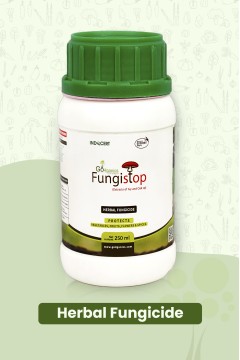 FUNGISTOP