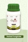 FUNGISTOP