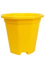 Yellow +Rs.55.00